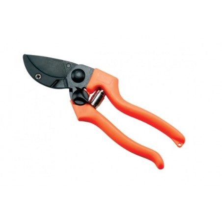 Forbice Vigna Professionale Putin 5 cm21 Ausonia